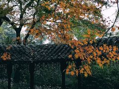 -拙政园