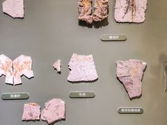 -遇见博物馆(遇见海洋沉浸式奇幻光影展)
