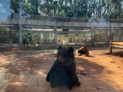 -昆明动物园