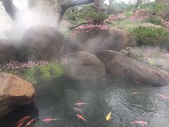 -BLACKSWAN黑天鹅(环球店)