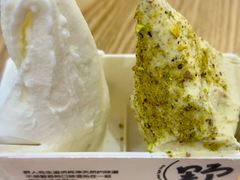 开心果口味-野人先生Gelato(上海长宁龙之梦店)