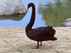 -西昌邛海宾馆