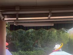 -九龙公园