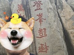 -泰山风景名胜区