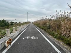 -芒洲湿地公园