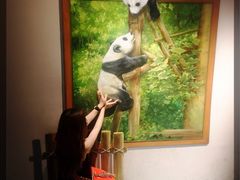 -成都泰迪熊博物馆