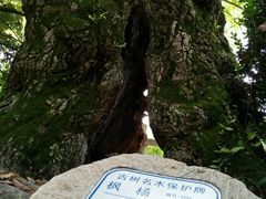 -汇龙潭