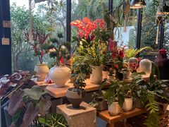 -自由生长植物工作室(深港花卉中心店)