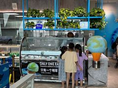 -贝林大翅鲸简餐厅(国家海洋博物馆店)