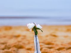 -威海国际海水浴场旅游区