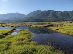 -腾冲北海湿地