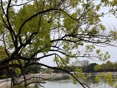 -建水文庙