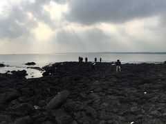 -涉地可支