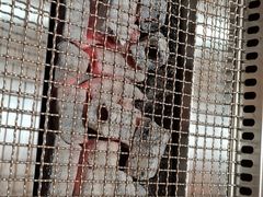 -拾挚扒房(招商花园城店)