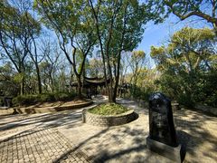 -上海佘山国家森林公园天马山园