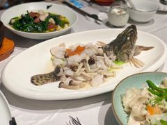 群菇炒鱼片-杭州新新饭店·1913餐厅