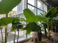 -CHIC1699远洋私厨