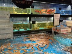 -徐记海鲜(南油永新汇店)