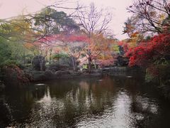 -秋霞圃