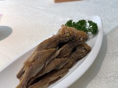 -北京中信金陵酒店