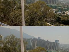 -金鸡山公园