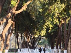 -山东大学(趵突泉校区)