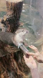 -Zoolung Zoolung动物主题公园(海信广场店)