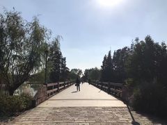 -上海滨江森林公园