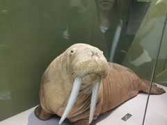 -国家自然博物馆