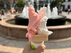 柠檬拼番石榴-柠檬车露(卖草地店)
