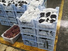 -西郊国际农产品交易中心