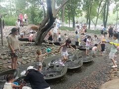 -成都市活水公园