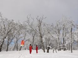 -大秃顶子山(雪谷店)