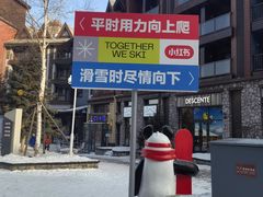 -中旅松花湖滑雪场