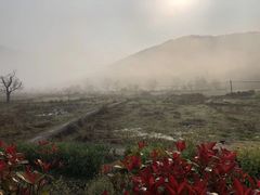 -塔川景区