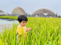 -中国天府农业博览园