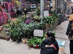 -桂林市花鸟市场