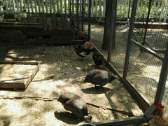 -意大利农场度假村