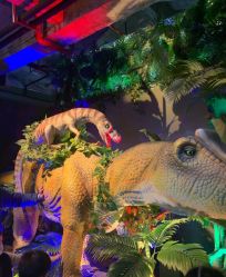 -恐龙探索乐园(磁器口店)