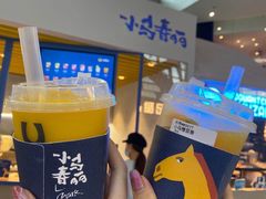 -春丽小马(济南恒隆广场店)