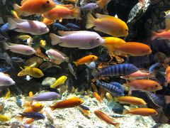 -太平洋海底世界