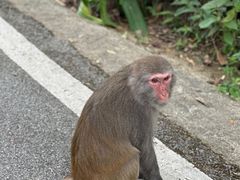 -姑婆山旅游区