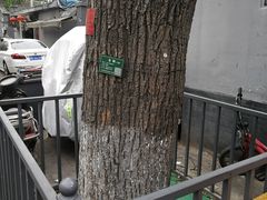 -锅儿挑面馆