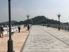 -野狸岛