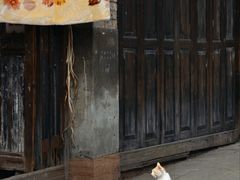 -尧坝古镇
