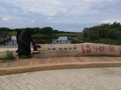 -黑瞎子岛探秘野熊园