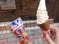 -富豪雪糕车流动点(尖沙咀店)