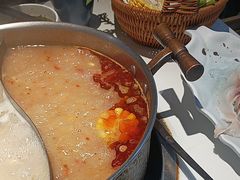 -濠七糟粕醋•海南酸汤火锅(中关村店)