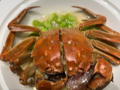 -新光酒家·河豚·海鲜·蟹料理(浦东店)