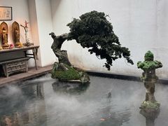 -觀芷隐轩